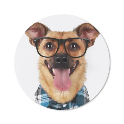 Produktbild von MuchoWow® Mauspad Mousepad Hund - Bluse - Brille - Hipster 40x40 cm - Mousepads - Maus Mat - Pad - Mausunterlage - Schreibtisch Accessoires