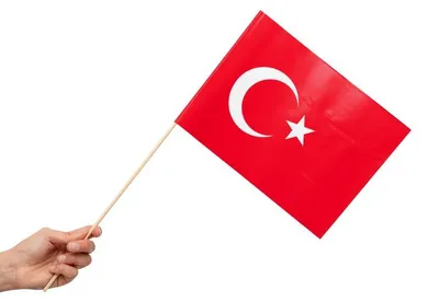 Produktbild von Türkei 10 Papier Flaggen Fähnchen mit Holzstab 50cm