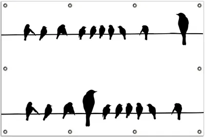 Produktbild von Wallario Outdoor-Poster für Garten oder Balkon, Motiv Vögel auf einer Stromleitung, in ca. 100 x 150 cm