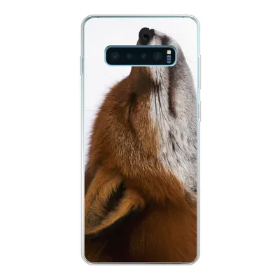 Produktbild von MuchoWow® Handyhülle Schutzhülle Hülle für Samsung Galaxy S10 Plus Fuchs - Nase - Weiß Silikon Softcase Handy Hülle - Schutzhülle