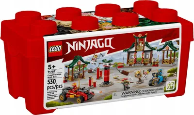 Zdjęcie produktu dla LEGO Ninjago 71787 Kreatywny Ninja Steinebox