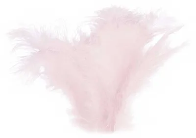 Produktbild von 15-20 Flaumfedern 09-17cm gefärbt Bastelfedern Schmuckfedern Feder Farbwahl, Größe:09 - 17 cm, Farbe:39 hellrosa