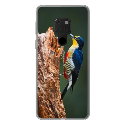 Produktbild von MuchoWow® Handyhülle Schutzhülle Hülle für Huawei P40 Lite Nahaufnahme eines bunten Vogels auf der Seite eines Baumstamms Silikon Softcase Handy Hülle - Handy