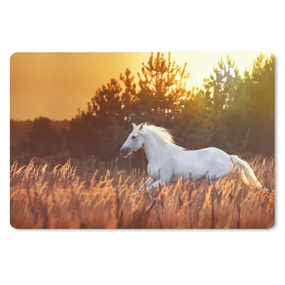 Produktbild von MuchoWow® Schreibtischunterlage Pferd - Gras - Baum - Sonne 60x40 cm - XXL Mauspad - Großes Mauspad