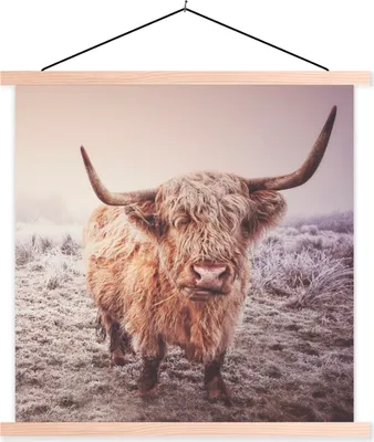 Produktbild von MuchoWow® Textilposter Schottische Hochlandrind - Schnee - Sonne 120x120 cm mit holzfarbenen Rahmen - Textil-Poster