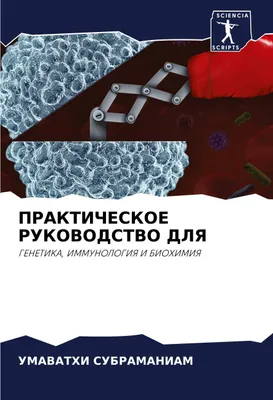 Produktbild von PRAKTIChESKOE RUKOVODSTVO DLYa