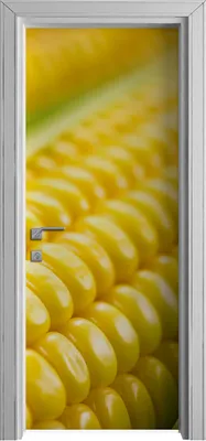 Produktbild von Tür Selbstklebende 80x210 cm Türfolie Türtapete Klebefolie - Gemüse Maiskolben