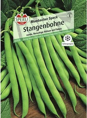 Produktbild von Stangenbohne 'Mombacher Speck' Sperli Gemüsesamen für 13-18 Stangen