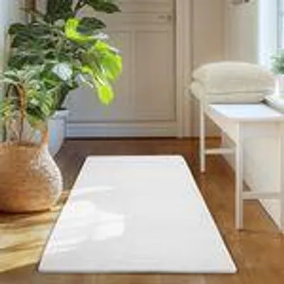 A white rug is placed on a wooden floor in front of a doorway, with a potted plant and a white bench with cushions visible.
