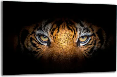 Produktbild von Herdabdeckplatte Glaskeramikkochfeld-Abdeckung Spritzschutz Glas 80x52 Tiger
