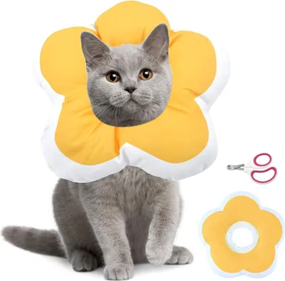 Produktbild von Halskrause Katze, Katze Schutzkragen Katze Halsband Nach der Operation Haustier Schutzkragen Weich Einstellbarer Halskrause für Katzen Verhindert das Lecken von Wunden Katzenkragen