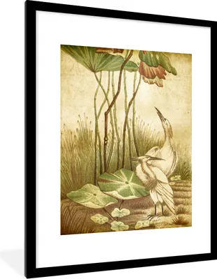 Produktbild von MuchoWow® MuchoWow® Gerahmtes Poster Antiker Vogeldruck elegante Vögel 60x80 cm - Poster mit zchwarzem Bilderrahmen - Wohnzimmer - Dekorationen - Prämie