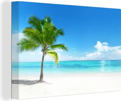 Zdjęcie produktu dla OneMillionCanvasses® - Obraz na płótnie - Fototapeta na płótnie - Palma - Plaża - Morze - Lato - 150x100cm - Fotografia na płótnie - Fototapeta na płótnie - OneMillionCanvasses®