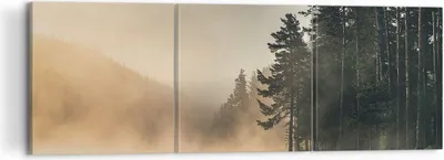 Produktbild von Bild auf Leinwand - Leinwandbild - 3 Teile - Nebel See Wald - 120x40cm - Wand Bild - Wanddeko - Wandbilder - Leinwanddruck - Bilder - Wanddekoration - Leinwand bilder - Wandbild - CA120x40-4440