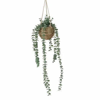 Obrázek produktu pro Umělá závěsná rostlina EUKALYPTUS, 78 cm