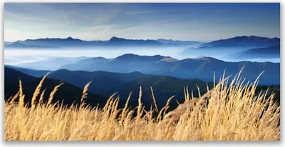 Produktbild von Glasbilder 140x70 Wandbild Druck auf Glas Acker Landschaft