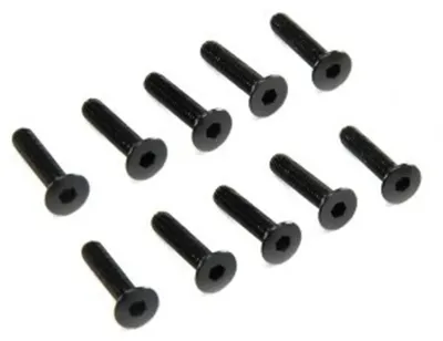 Obrázek produktu pro Axiální šroub M3 x 14 mm s plochou hlavou (10)