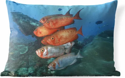 Produktbild von MuchoWow® Outdoor Kissen - Fisch - Rot - Grau - 60x40 cm - Wetterfest - Lounge Kissen - Zierkissen - Kissen für Innenräume