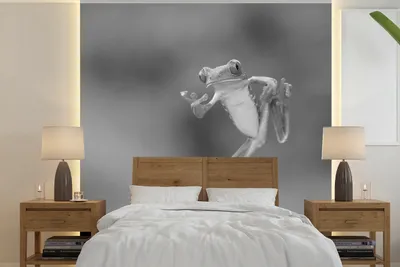 Produktbild von Fotobehang in Schwarz-Weiß in Schwarzweiß, 300 cm x 300 cm, Schwarz-Weiß, Fotobehang, Schwarzweiß, 300x300 cm
