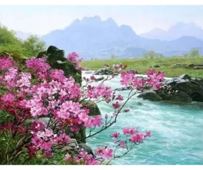 Immagine prodotto di Mosaico di diamanti Bergbach Rosa Büsche 30x40 cm Diamanti creativi