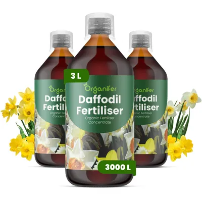 Obrázek produktu pro Narcis Tekuté Hnojivo 3x1 L – 3-4-3 NPK – Pro Cibuloviny – Pro Zdravé Listy & Bujné Květy – Podporuje Kořeny & Vitalitu – Organifer