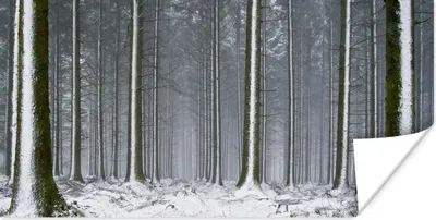 Produktbild von MuchoWow® Poster Bäume - Winter - Schnee 40x20 cm - Poster für die Wand - Poster Schlafzimmer