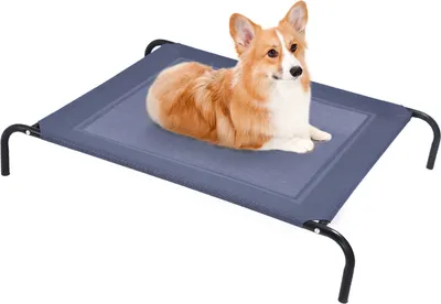 A corgi dog lying on a raised pet bed.