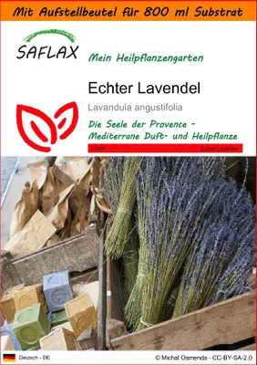 Produktbild von SAFLAX - Garden in the Bag - Heilpflanzen - Echter Lavendel - 150 Samen - Mit Anzuchtsubstrat im praktischen, selbst aufstellenden Beutel - Lavandula angustifolia