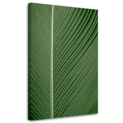 Produktbild von Leinwandbild Bananenblatt, Makro 80x120 Feeby Grün bild für die wand bereit zum aufhängen