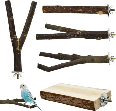 Imagen del producto de Juego de posaderos de madera, de 5 piezas, con diferentes formas, para pájaros pequeños