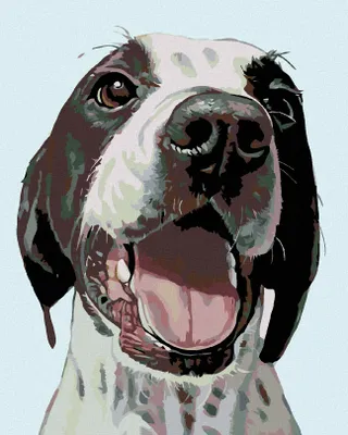 Produktbild von Zuty - Malen nach Zahlen - GLÜCKLICHER HUND, 40x50 cm, ohne Keilrahmen