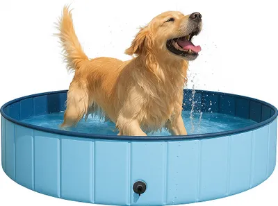 Produktbild von Karl Vital Hundepool 160x30 faltbar PVC robuste Konstruktion mit integrierter Trägerplatte für große & kleine Hunde ideale Abkühlung im Sommer