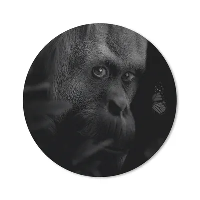 Produktbild von MuchoWow® Mauspad Mousepad Tiere - Affe - Natur - Schwarz - Weiß 50x50 cm - Mousepads - Maus Mat - Pad - Mausunterlage - Vinyl
