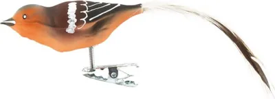 Produktbild von Buchfink Glasvogel.