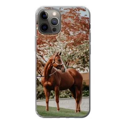 Produktbild von MuchoWow® Handyhülle Schutzhülle Hülle für iPhone 12 Pro Pferd - Baum - Halfter Silikon Softcase Handy Hülle - Abdeckung