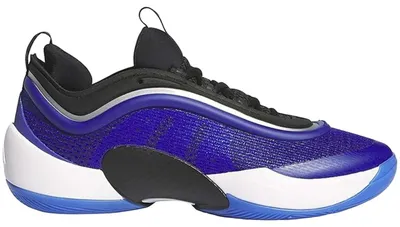 Imagen del producto de Zapatillas de baloncesto Adidas IG9102 para Hombre