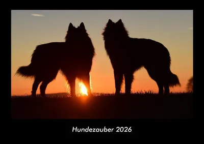 Produktbild von Hundezauber 2026 Fotokalender - Querformat DIN A3, Monatskalender mit Bild-Motiven von Haustieren, Bauernhof, wilden Tieren und Raubtieren