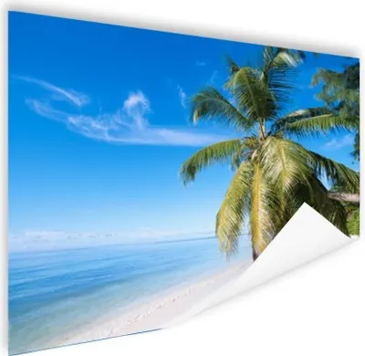 Produktbild von MuchoWow® Poster Tropisch - Sand - Palme 180x120 cm - Fotoplakat