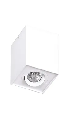 Obrázek produktu pro Spot BASIC SQUARE svítidlo pro povrchovou montáž C0070 MaxLight