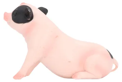 Produktbild von Schwein-Haltungsfigur, Spielzeug, realistische PVC-Dekoration, pädagogisches Nutztiermodell für sitzende Kinder