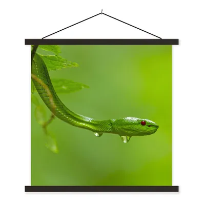 Produktbild von MuchoWow® Textilposter Grüne Schlange aus der Nähe 90x90 cm mit schwarzem Rahmen - Magnetisches