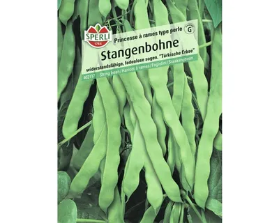 Produktbild von Stangenbohnen 'Princesse à rames type perle' Sperli Gemüsesamen