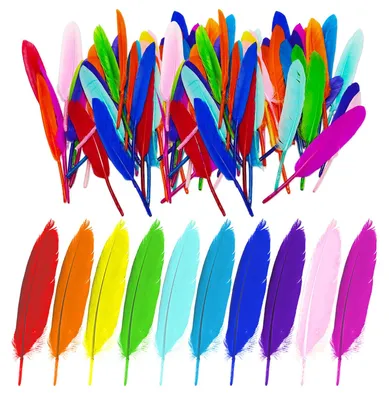 100 bunte Federn, 10-15 cm, für DIY-Basteln und Deko