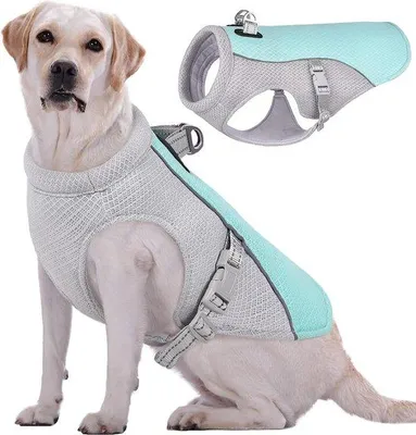 Produktbild von Famanu Hundekühlweste Atmungsaktiv und Reflektierend - Für kleine und mittelgroße Hunde