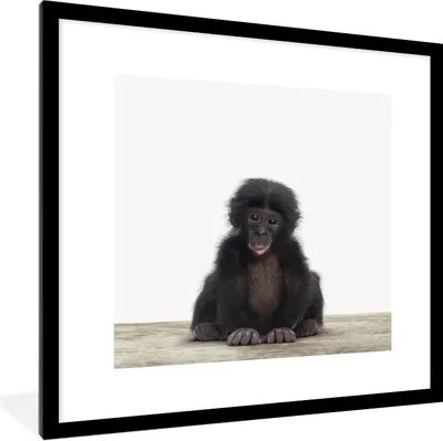 Produktbild von MuchoWow® Gerahmtes Poster Kind - Affe - Schimpanse - Babytiere - Jungen - Mädchen 40x40 cm - Poster mit Schwarzem Bilderrahmen Wandposter Rahmen Foto Bilder - Poster - Plakat im Rahmen