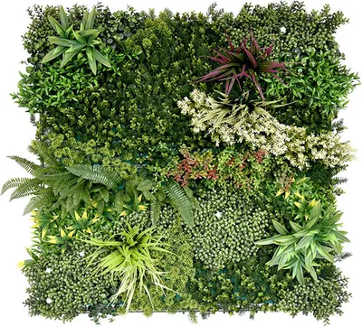 Immagine prodotto di Siepe artificiale Mirre A - 100 x 100 cm - Edera artificiale - Pannello murale - Schermo privacy per balconi