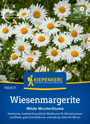 Produktbild von Kiepenkerl Blumensamen Wiesenmargeriten Wilde Wucherblume für ca. 300 Pflanzen