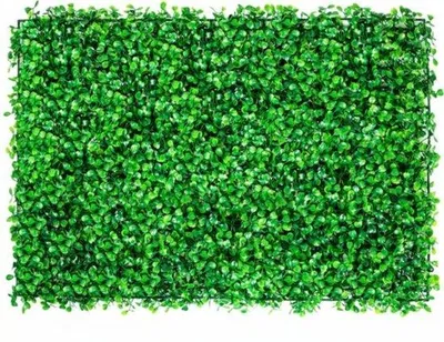 Produktbild von Kunstpflanzen Buxus Paneel - Set von 10 Stück