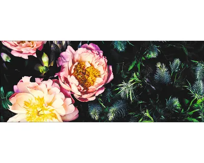 Produktbild von Glasbild Baroque Peonies II GLA2620 125x50 cm