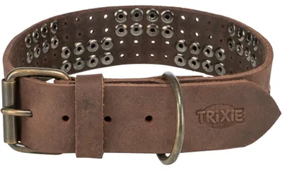 Produktbild von TRIXIE Rustic Fettleder-Halsband Nieten, extra breit - dunkelbraun - 38–47 cm/40 mm